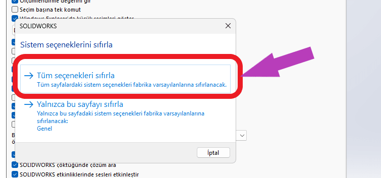 Solidworks sistem seçenekleri sıfırlama ekranında tüm seçenekleri sıfırlama seçeneğini gösteren ekran görüntüsü